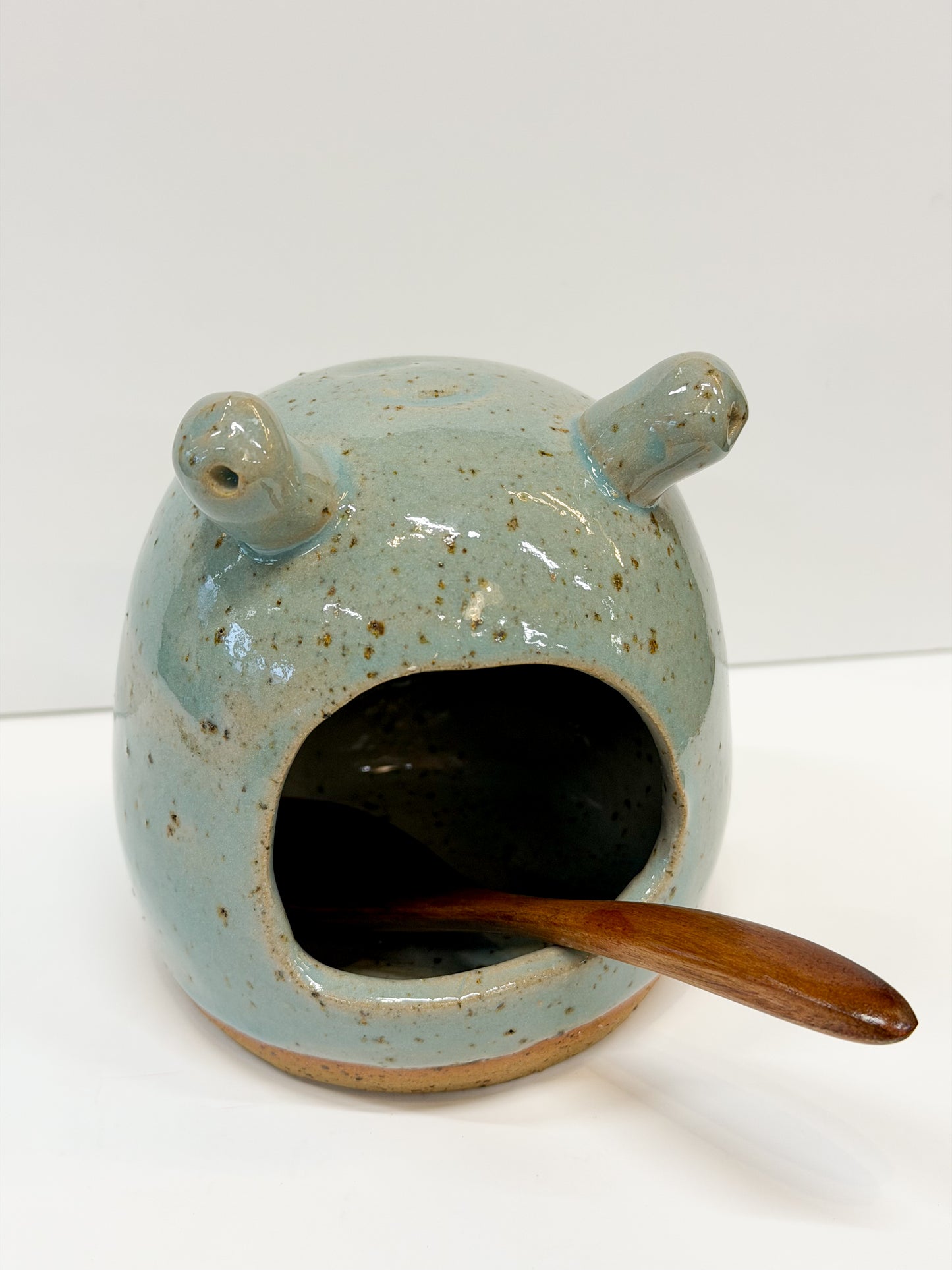 Salt pigs
